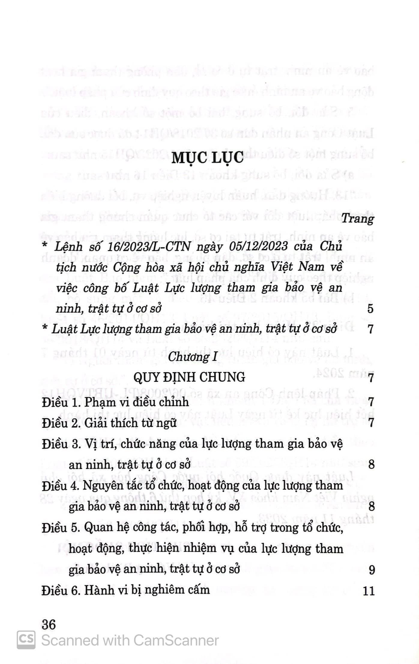 Luật lực lượng tham gia bảo vệ an ninh, trật tự ở cơ sở - Ảnh 2