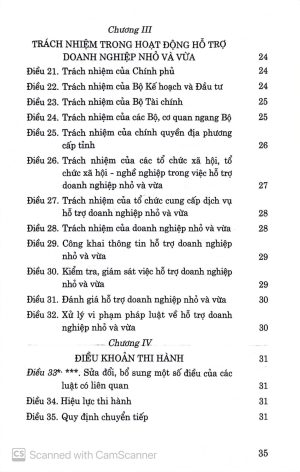 Alternative view of Luật hỗ trợ doanh nghiệp nhỏ và vừa năm 2017 (sửa đổi, bổ sung năm 2020, 2023)