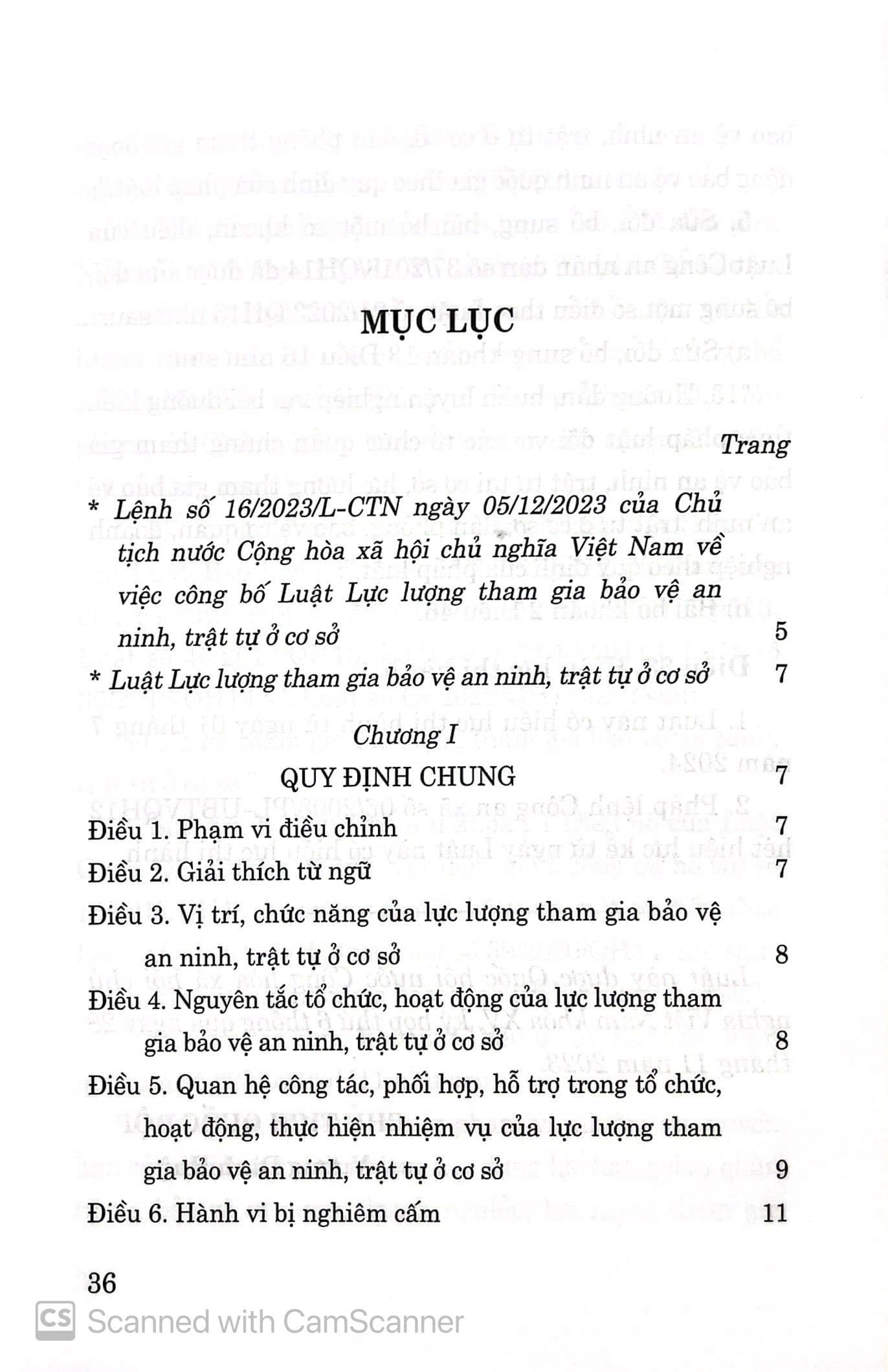 Luật lực lượng tham gia bảo vệ an ninh, trật tự ở cơ sở - Ảnh 2