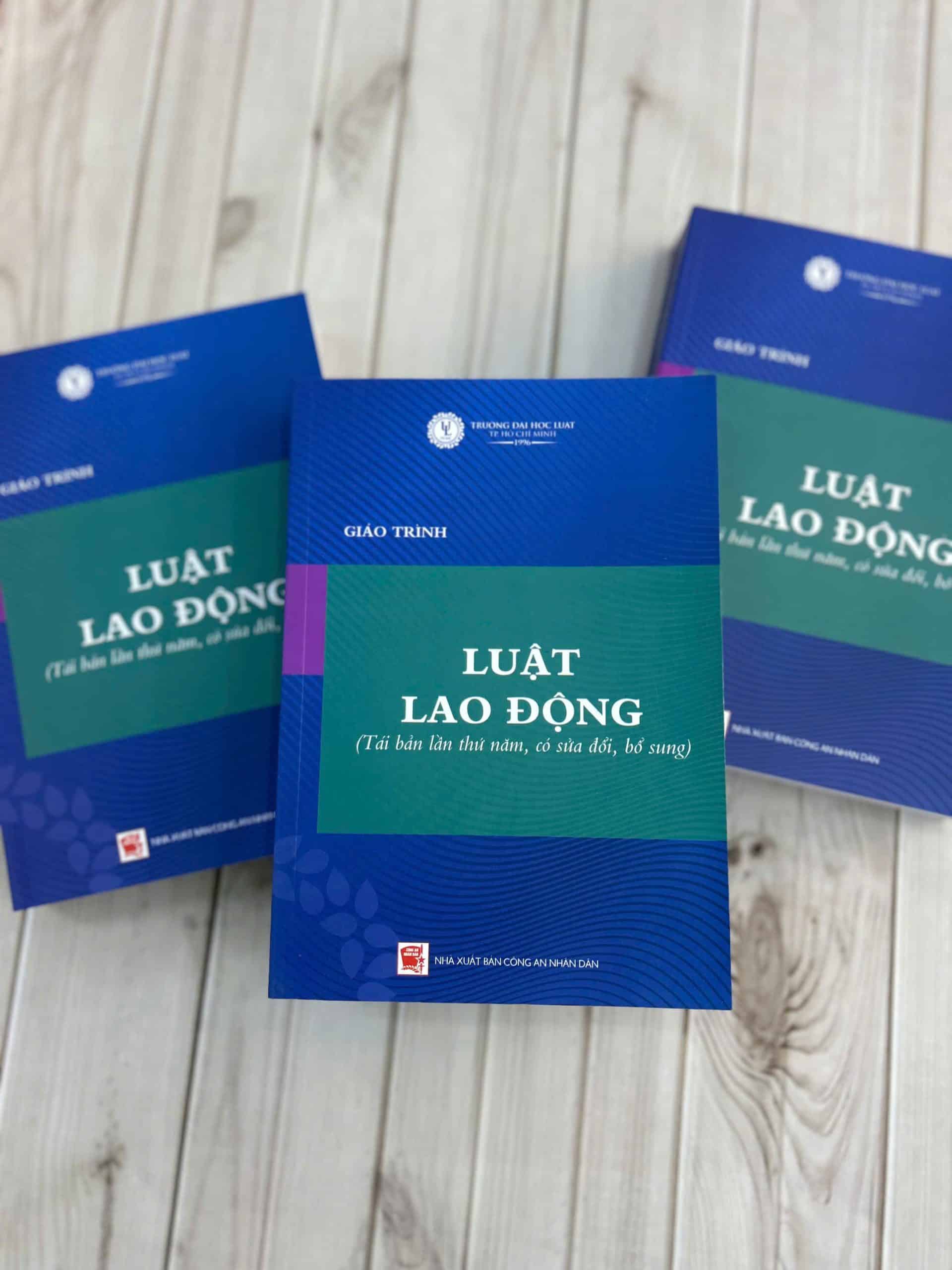 Giáo trình luật lao động (tái bản lần thứ năm, có sửa đổi, bổ sung) - Ảnh 3