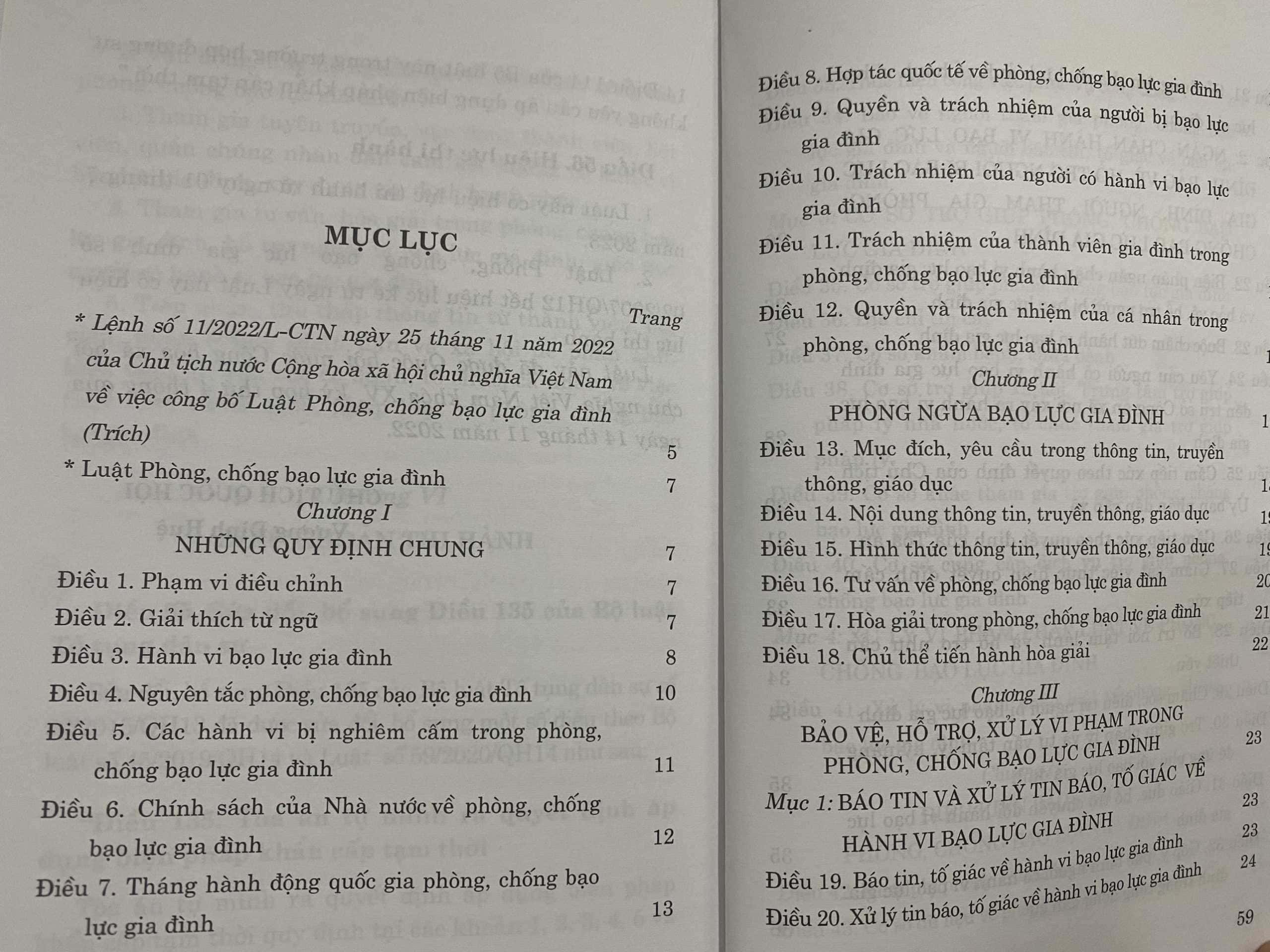 Luật Phòng, chống bạo lực gia đình