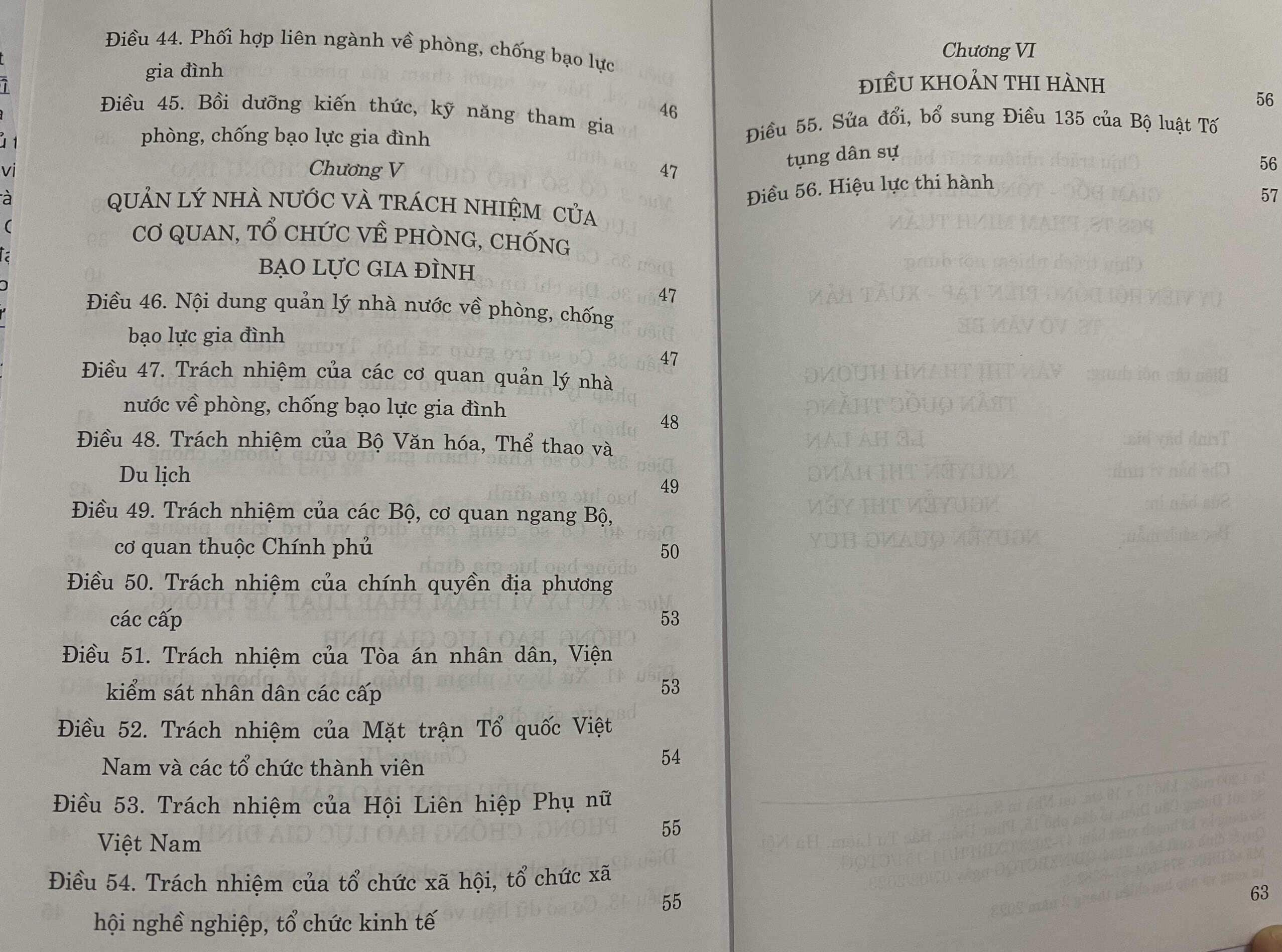 Luật Phòng, chống bạo lực gia đình